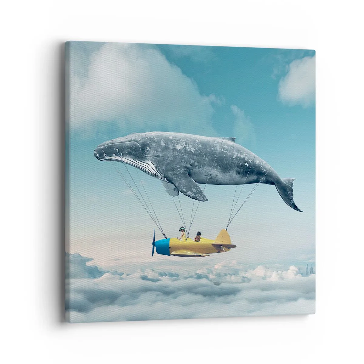 Schilderen op canvas - Waarom niet? - 40x40 cm