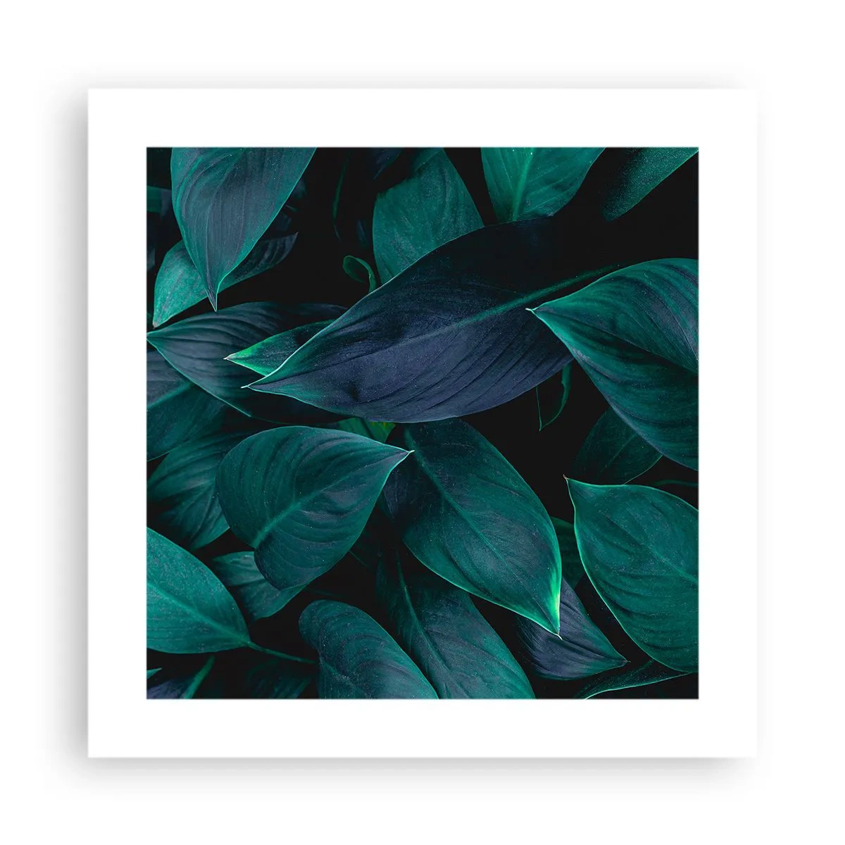 Poster - Groen op zichzelf - 40x40 cm