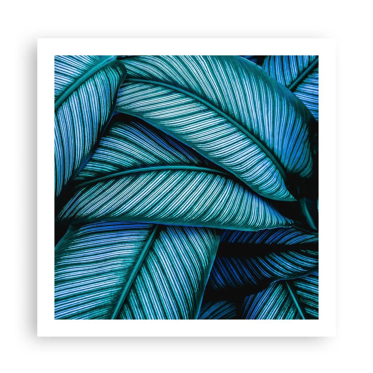 Poster - Levens lijnen - 60x60 cm