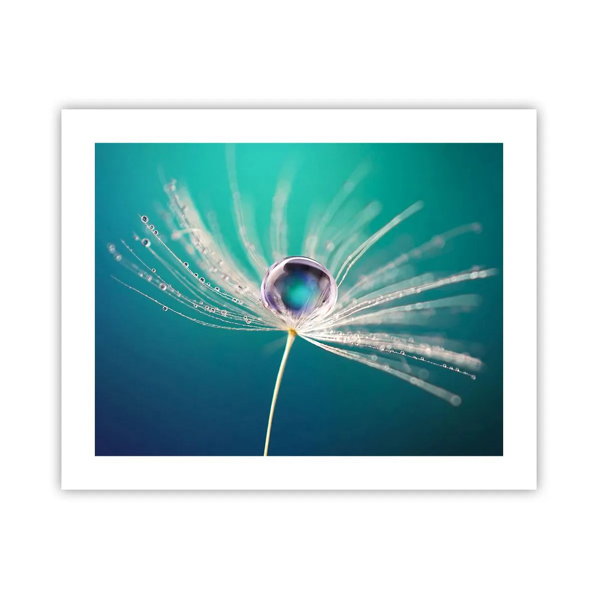 Poster - Mystiek moment - 50x40 cm