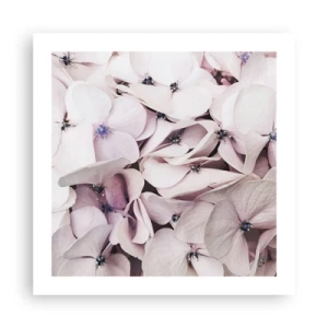 Poster - In een vloed van bloemen - 50x50 cm