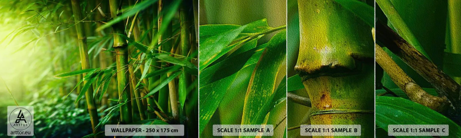 Fotobehang Monster Premium Sand - Maak kennis met groen zelf - Plant, Bamboe, Oerwoud - 100x30 cm