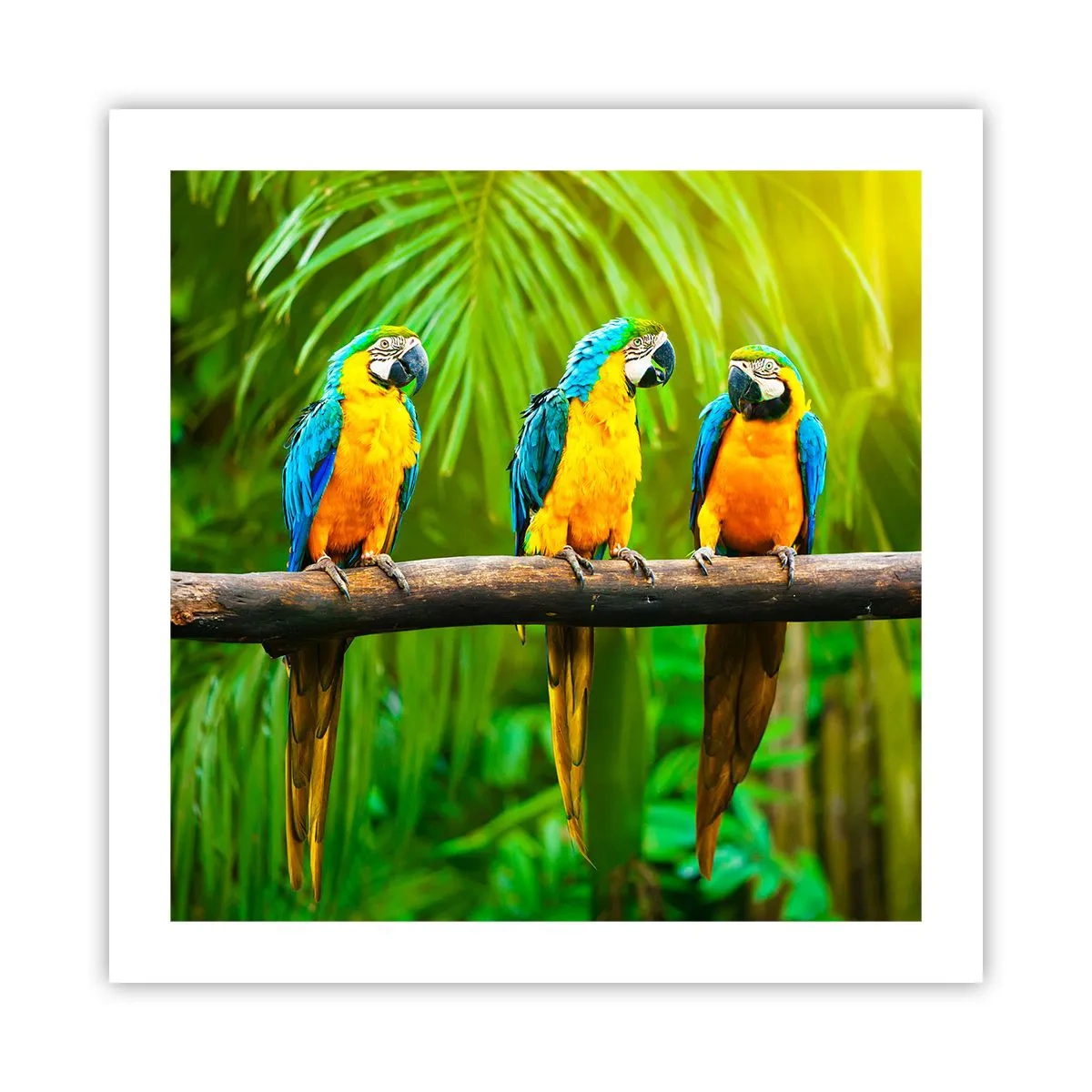 Poster - En heb je gehoord dat ze...? - 50x50 cm
