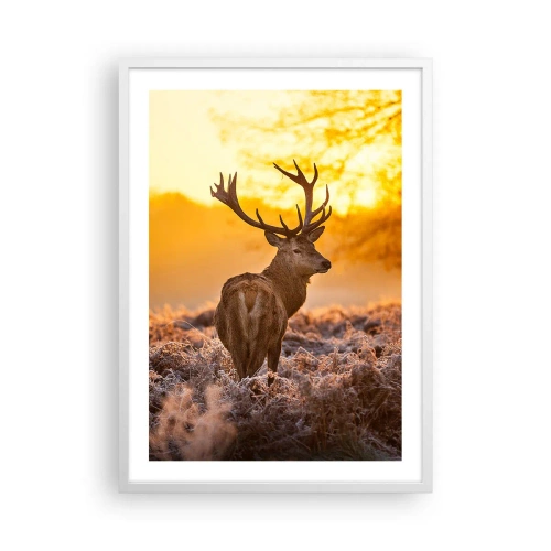 Poster in een witte lijst - Koning van het herfstbos - 50x70 cm