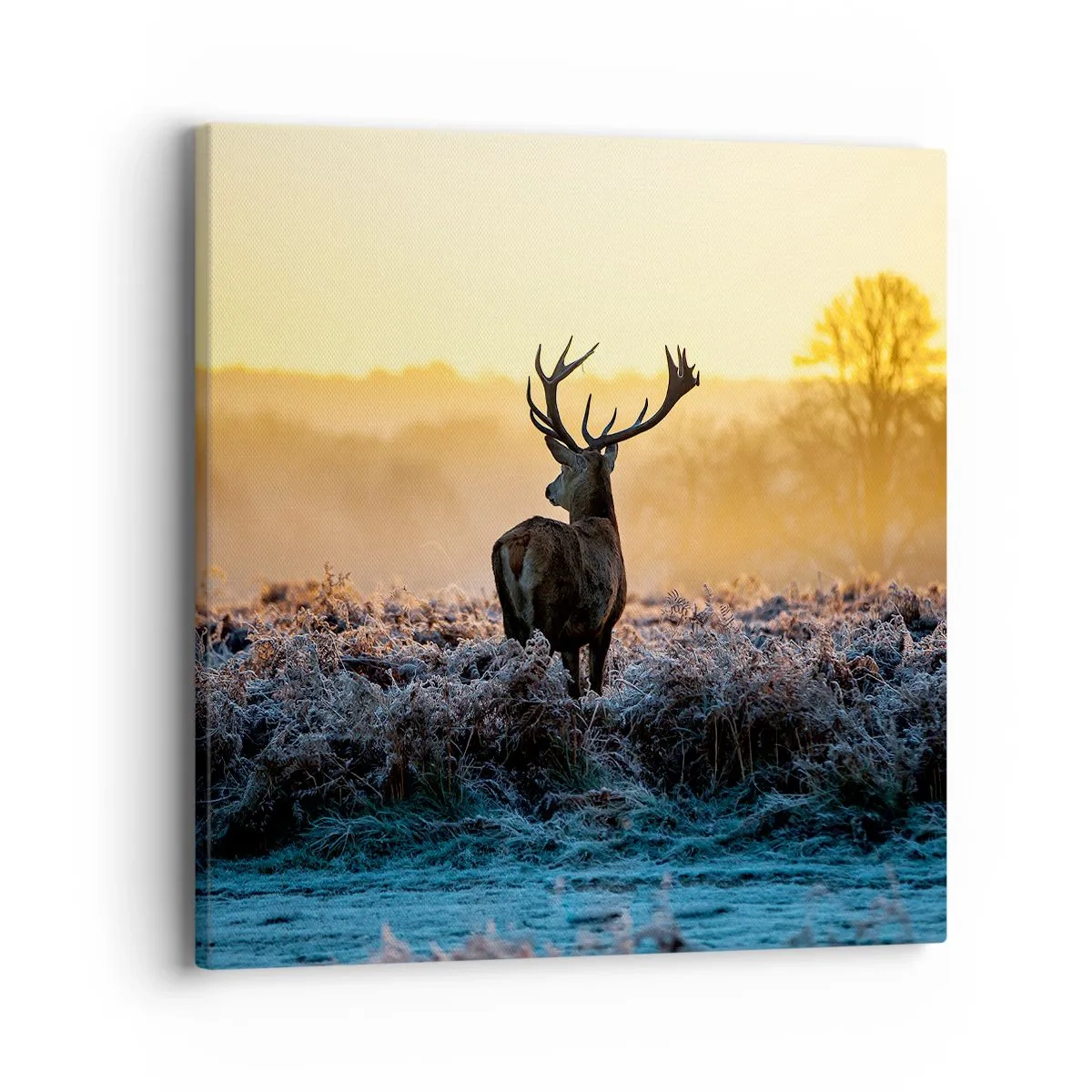 Schilderen op canvas - Gekroond op zijn landgoed - 40x40 cm