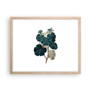 Een poster in een licht eiken lijst - Uit het oude herbarium - 50x40 cm