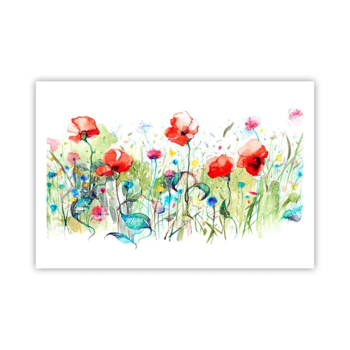 Poster - Bloeiende meiweide - 91x61 cm