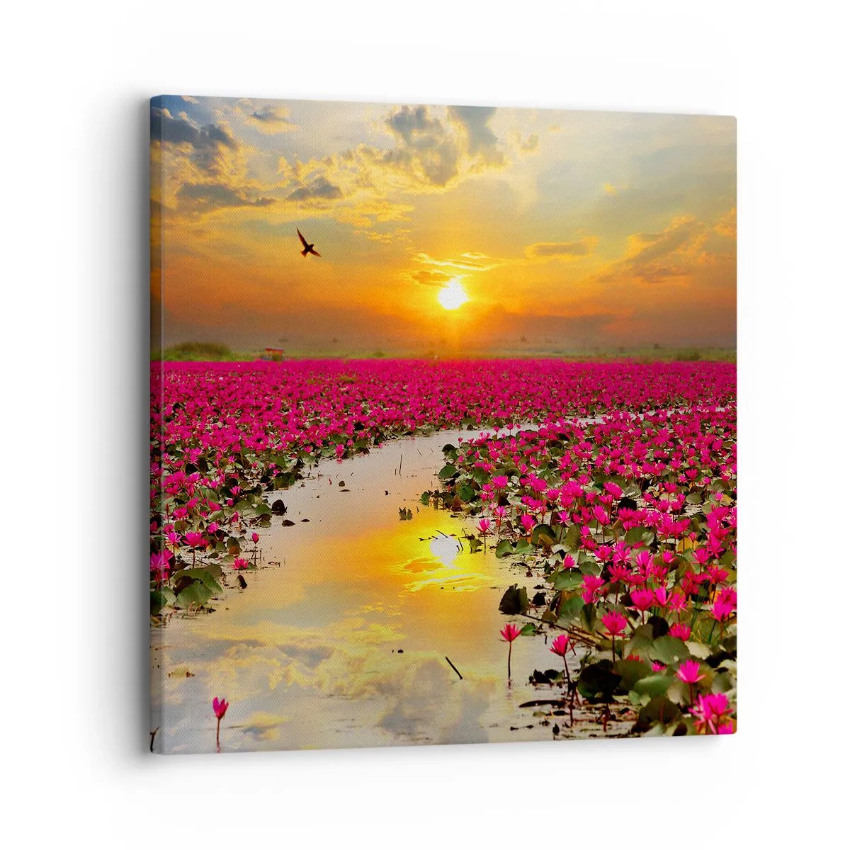 Schilderen op canvas - Het geheime leven van het meer - 30x30 cm