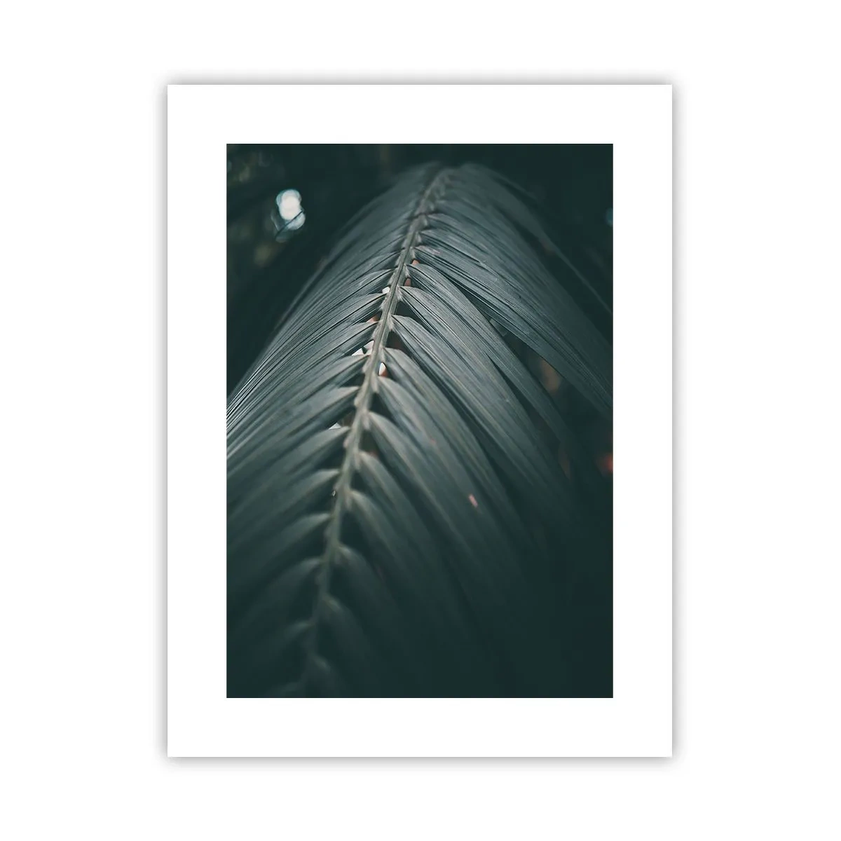 Poster - De precisie van de natuur - 30x40 cm