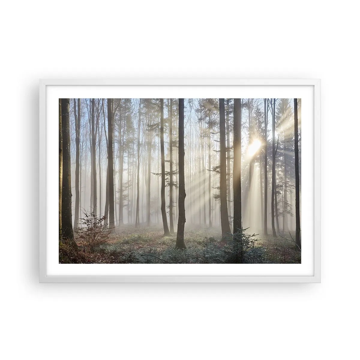 Poster in een witte lijst - De mist werd ook wakker - 70x50 cm