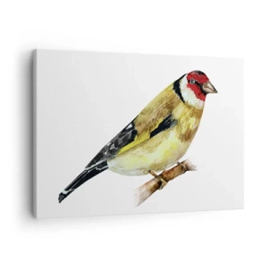 Schilderen op canvas - Een vogel met een rode kop op een tak - 70x50cm - Vogel portret - Moderne wanddecoratie voor woonkamer en slaapkamer ARTTOR