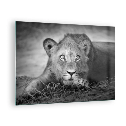 Schilderen op glas - Een leeuwenwelp in zwart-wit die in de camera staart - 70x50cm - Koninklijke puppy - Moderne wanddecoratie voor woonkamer en slaapkamer ARTTOR