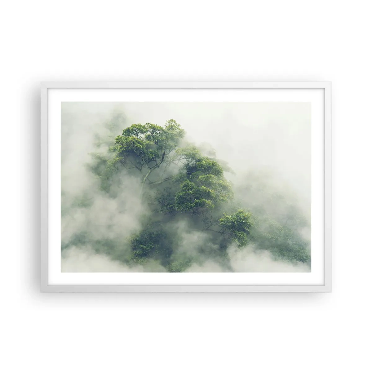 Poster in een witte lijst - In mist gehuld - 70x50 cm