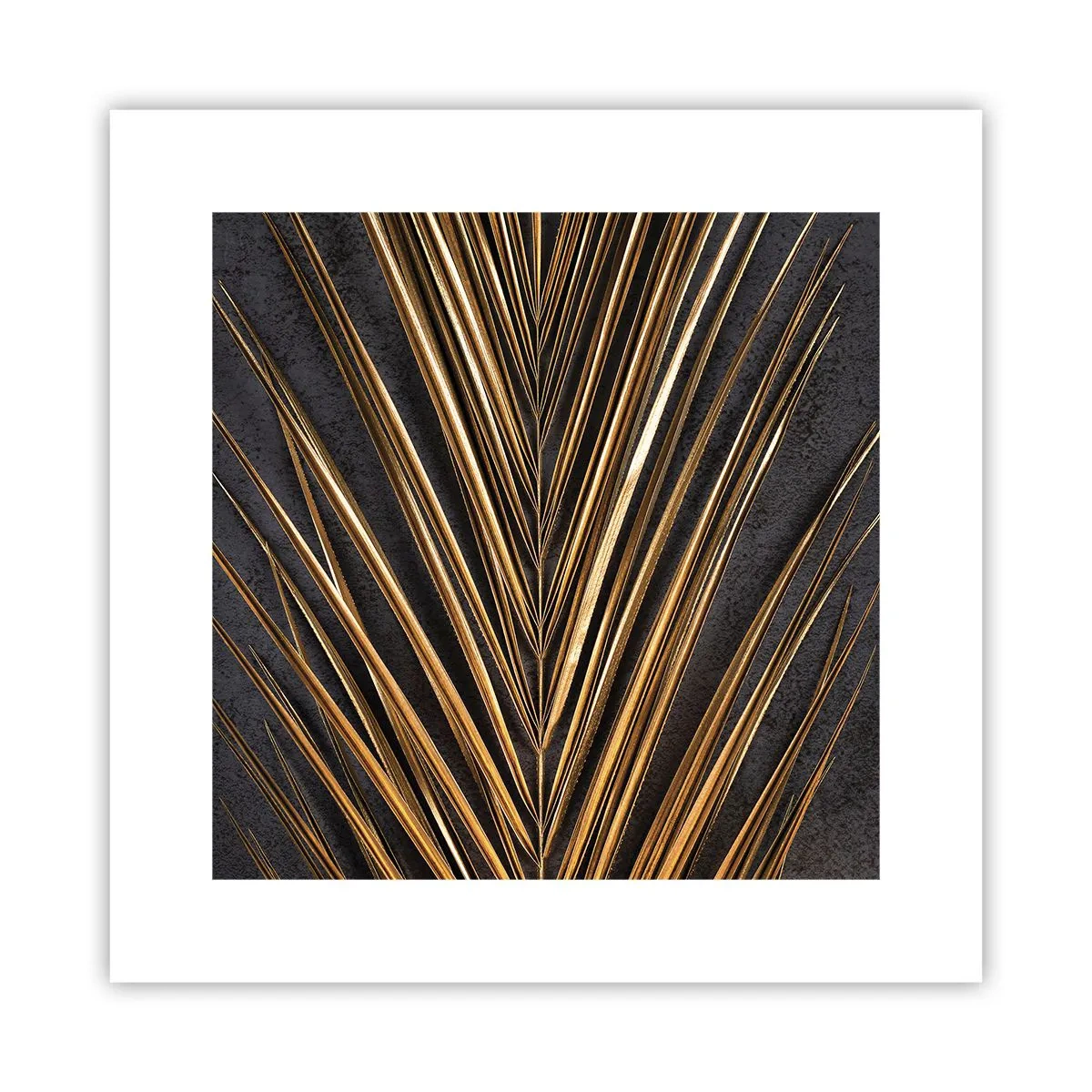 Poster - Het goud van de tropen - 30x30 cm