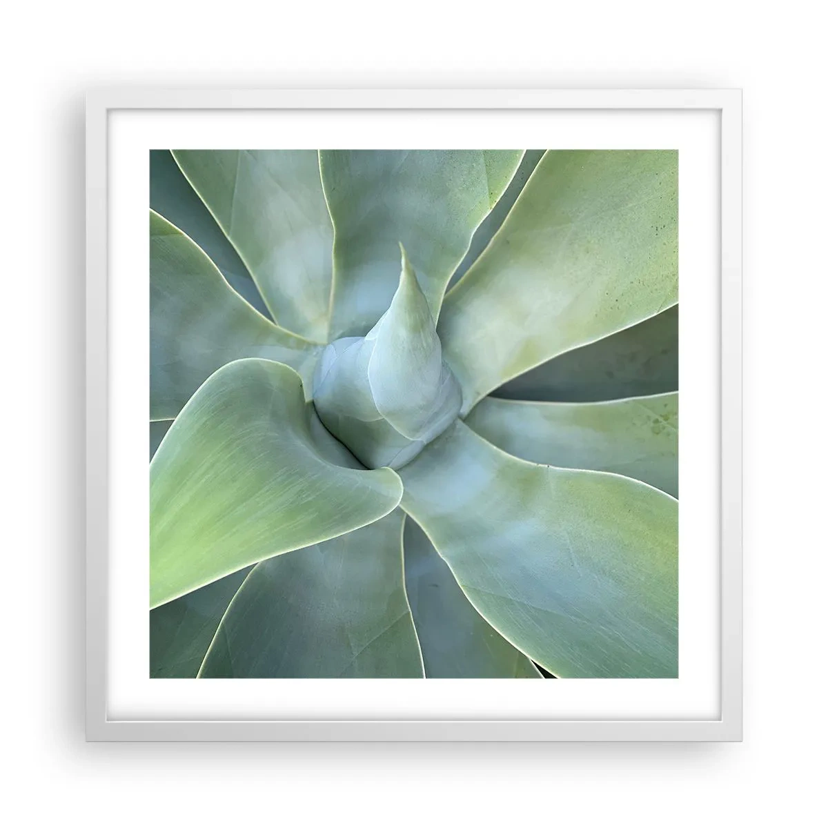 Poster in een witte lijst - De geboorte van groen - 50x50 cm