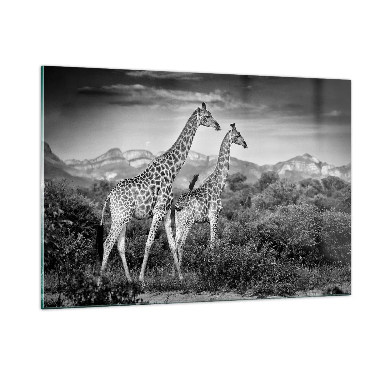 Schilderen op glas - Hoge sferen in Afrika - 120x80 cm