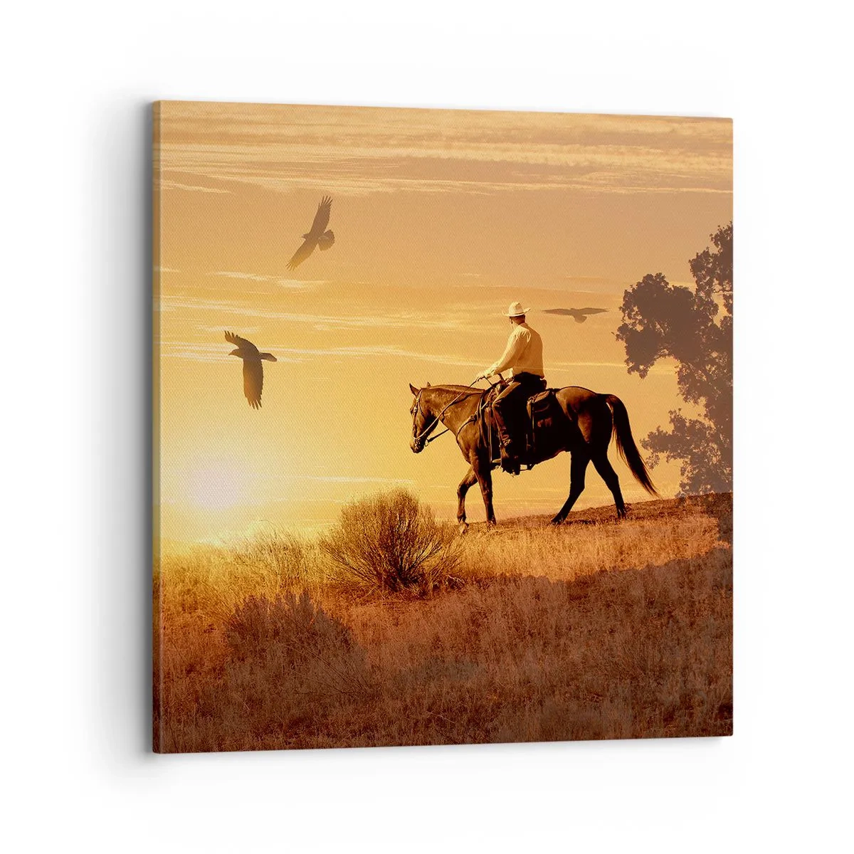 Schilderen op canvas - Alleen over de prairie - 70x70 cm