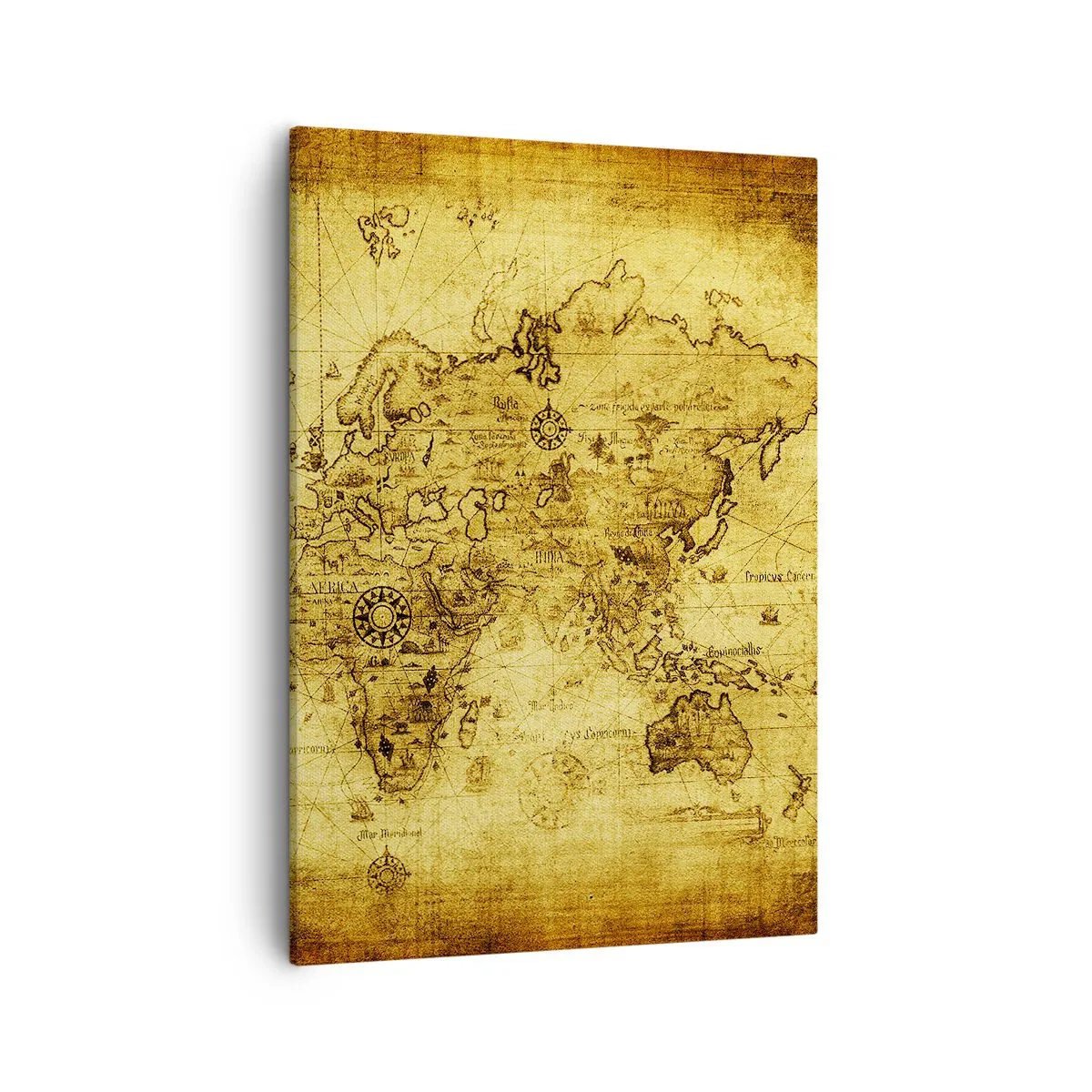 Schilderen op canvas - Hoe vreemd os deze wereld  - 50x70 cm