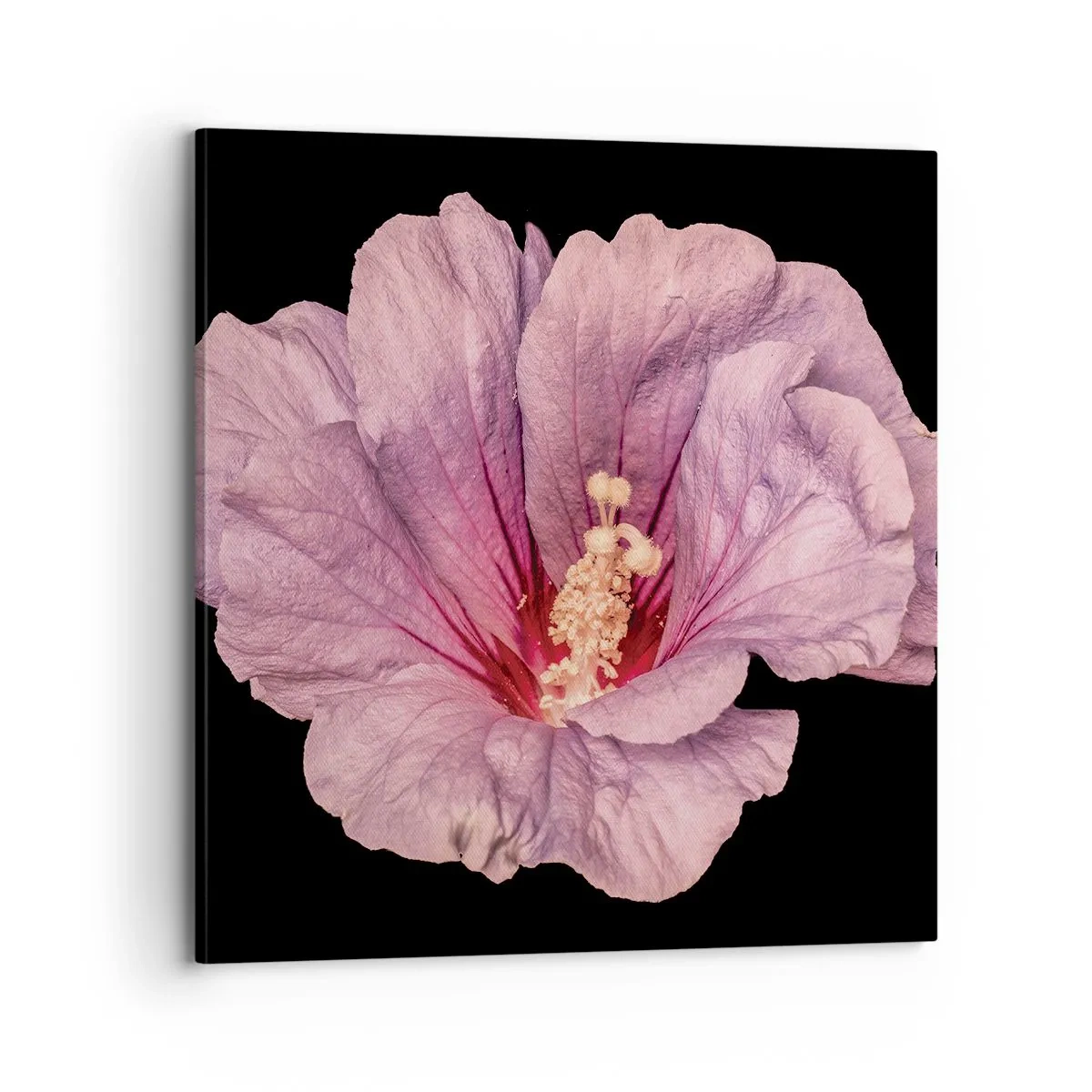 Schilderen op canvas - Recht in het hart - 70x70 cm