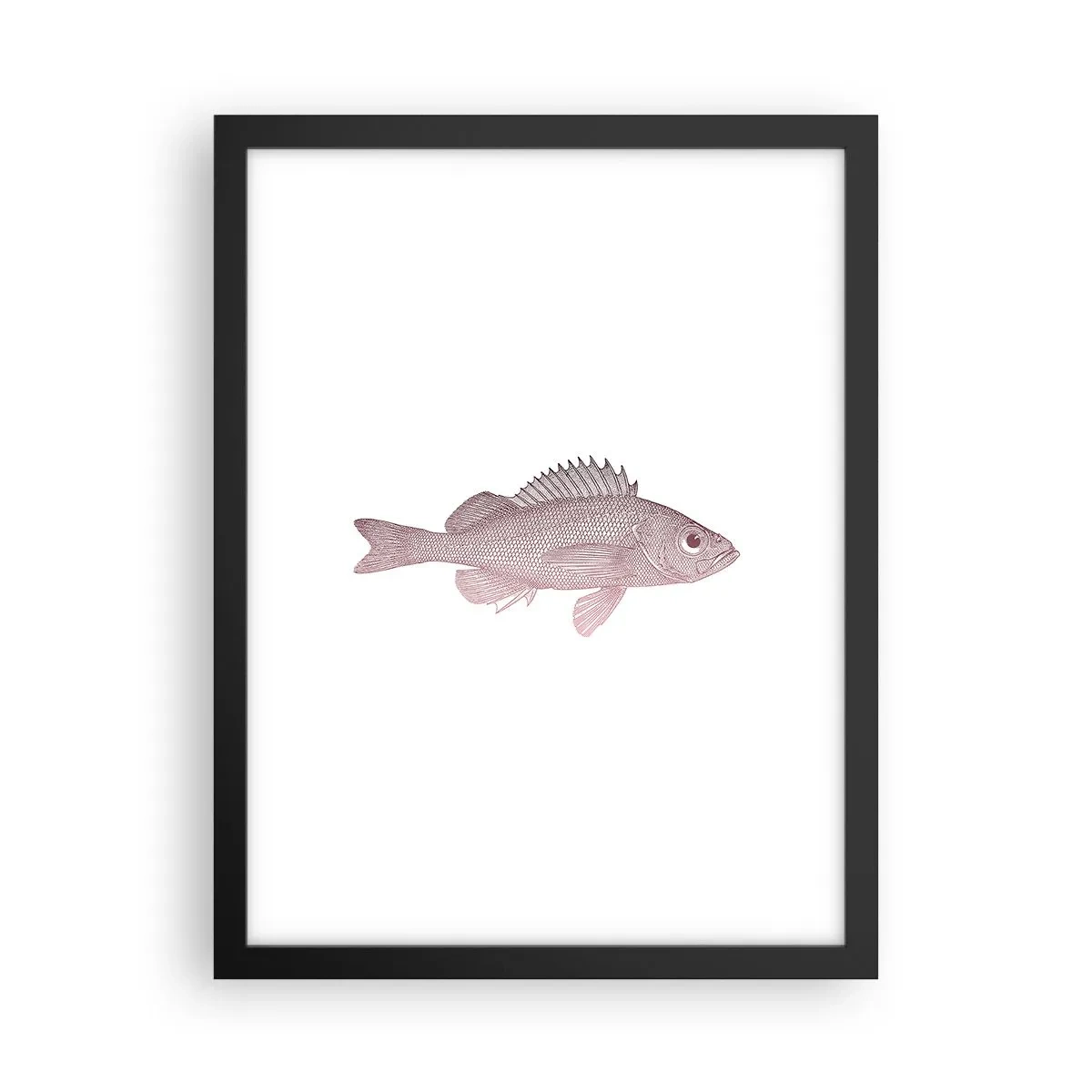Poster in een zwarte lijst - Grote ogen vis - 30x40 cm