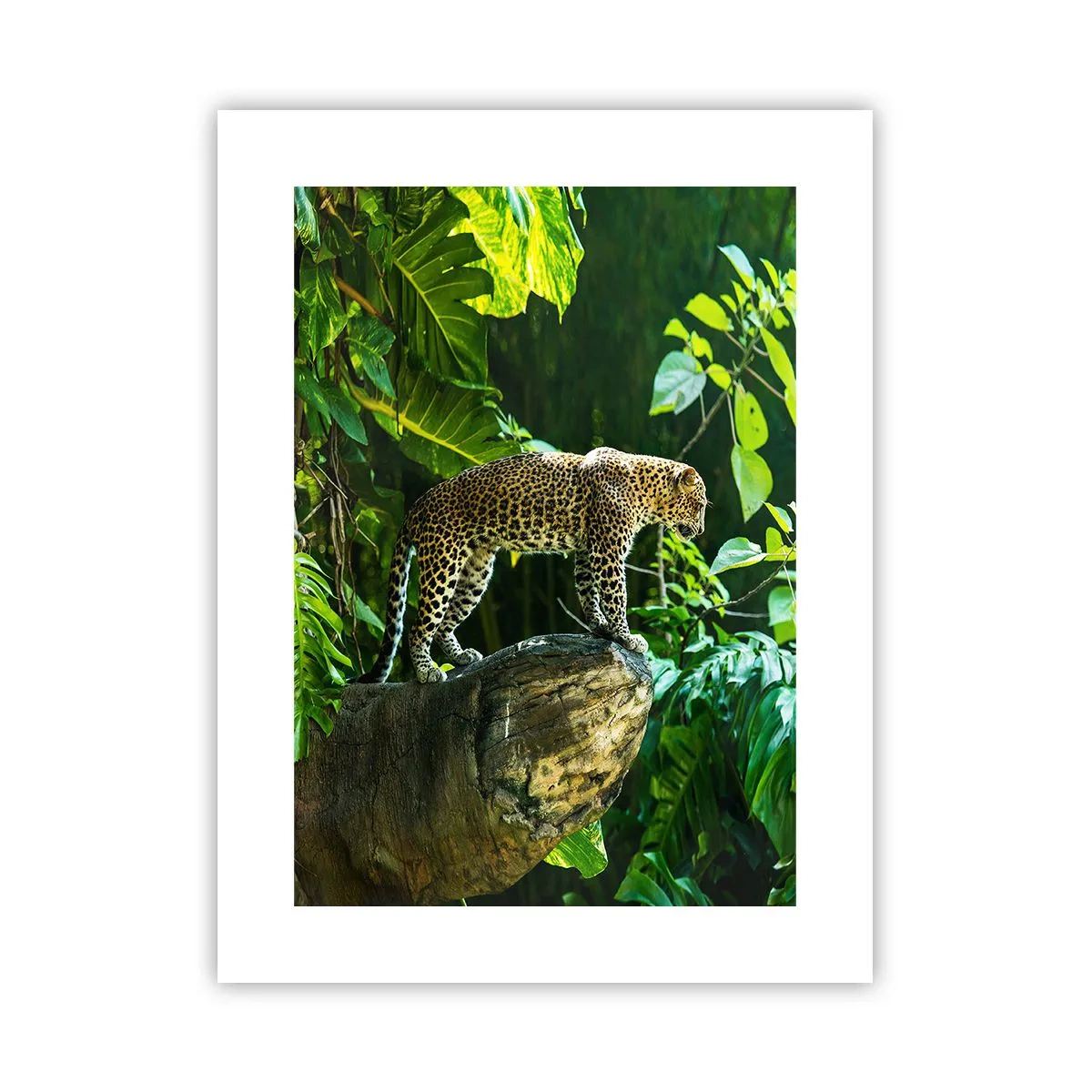 Poster - Op jacht? - 30x40 cm