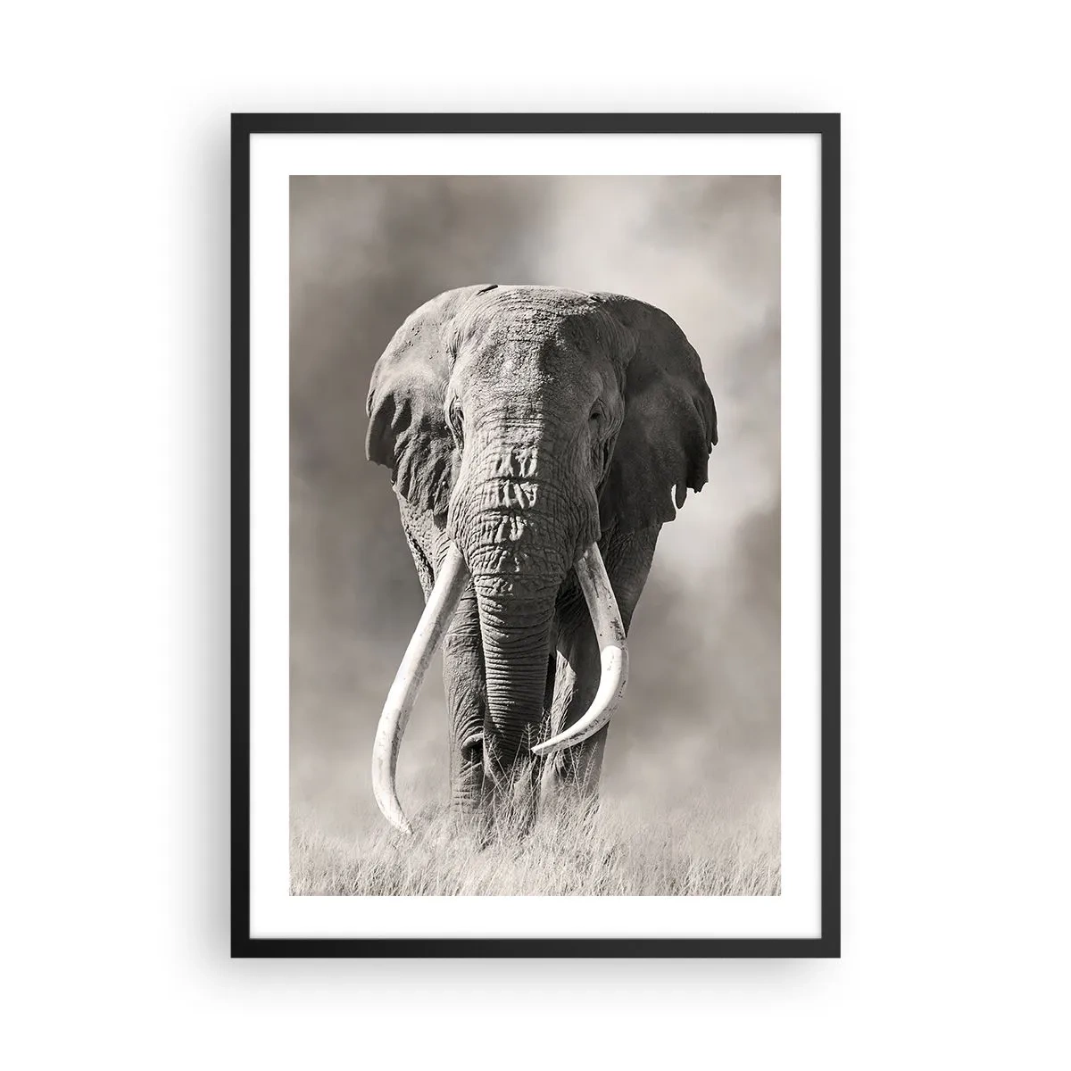Poster in een zwarte lijst - Monochroom portret van een majestueuze olifant - 50x70cm - Afrikaanse patriarch - Moderne wanddecoratie voor woonkamer en slaapkamer ARTTOR