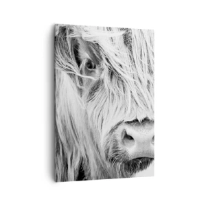 Schilderen op canvas - Schotse wildheid - 50x70 cm