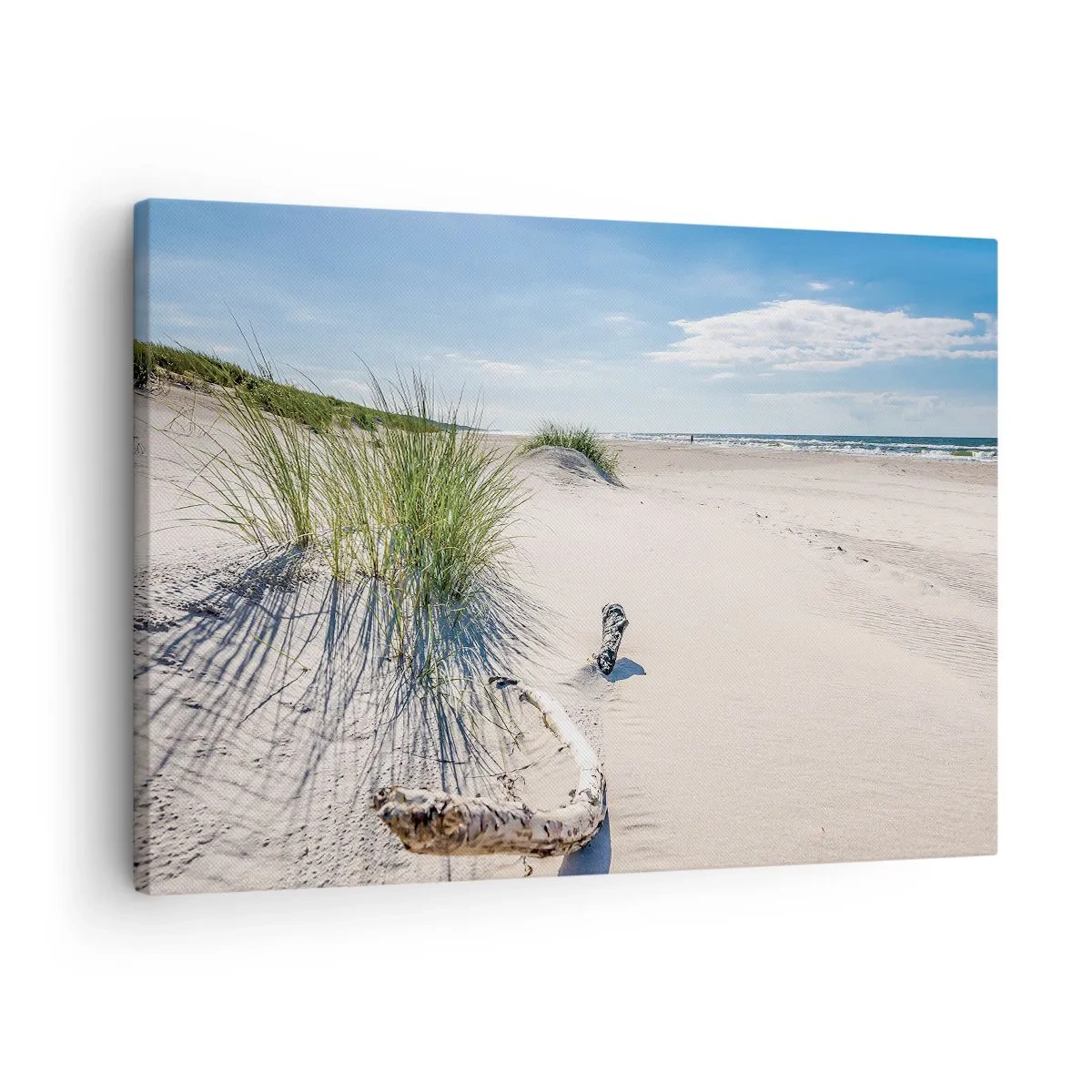 Schilderen op canvas - Een Baltisch strand met zand, gras en een kalme blauwe lucht - 70x50cm - De mooiste zandstrand? Oostzee-strand - Moderne wanddecoratie voor woonkamer en slaapkamer ARTTOR