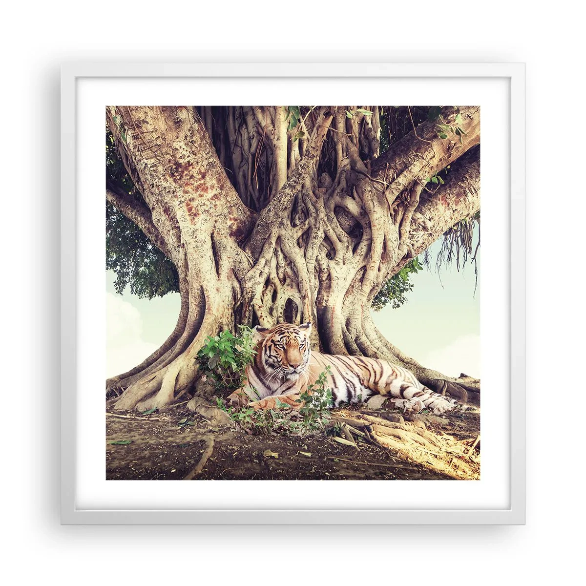 Poster in een witte lijst - Uitzicht vanuit het boek Genesis - 50x50 cm