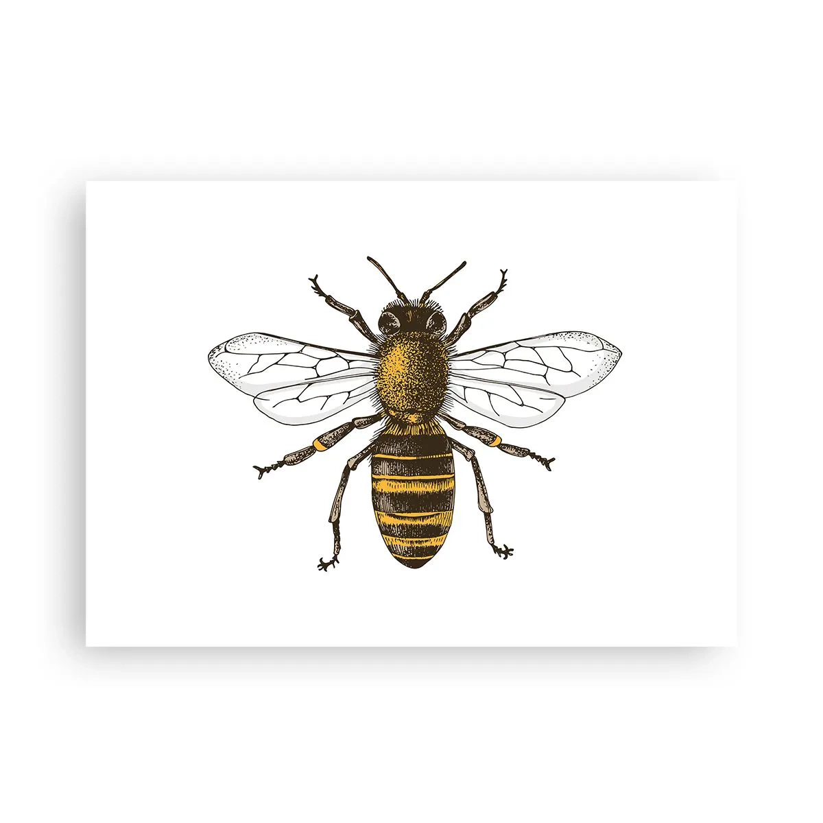 Poster - Mooi en goed - 70x50 cm