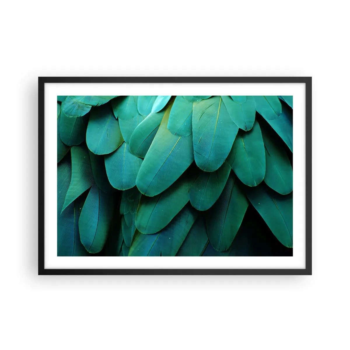 Poster in een zwarte lijst - Papegaaiachtige precisie - 70x50 cm