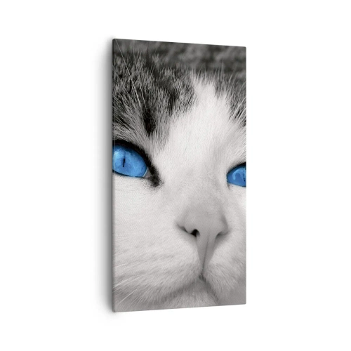Schilderen op canvas - Ongewone blauwe ogen - 55x100 cm