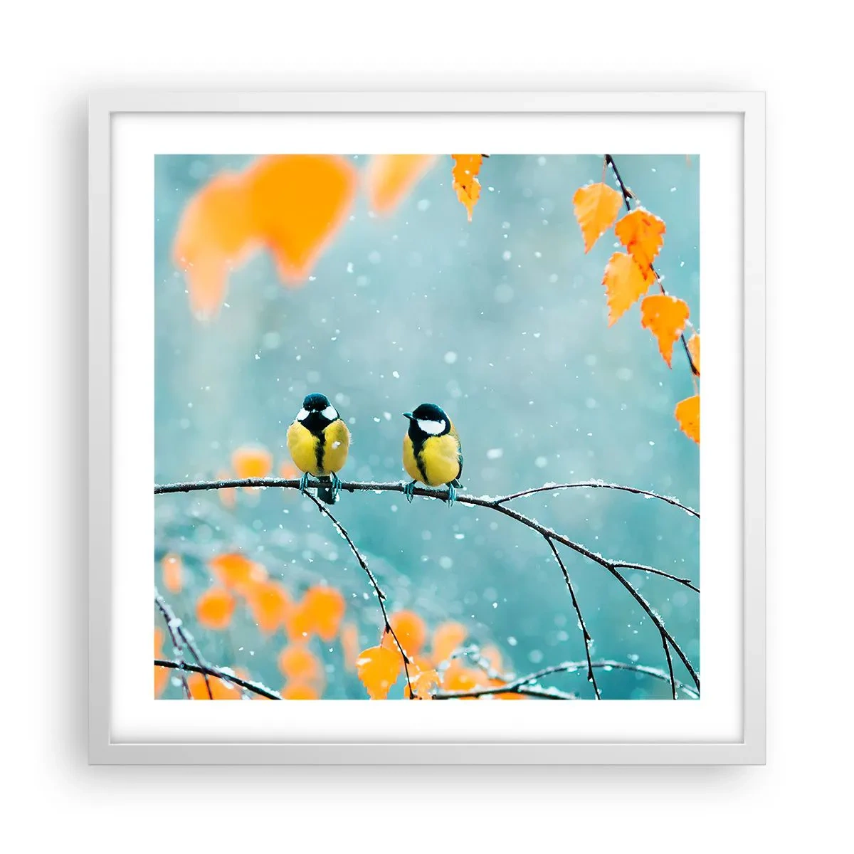 Poster in een witte lijst - Vogelroddel - 50x50 cm