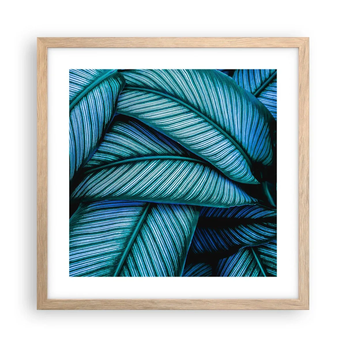 Een poster in een licht eiken lijst - Levens lijnen - 40x40 cm