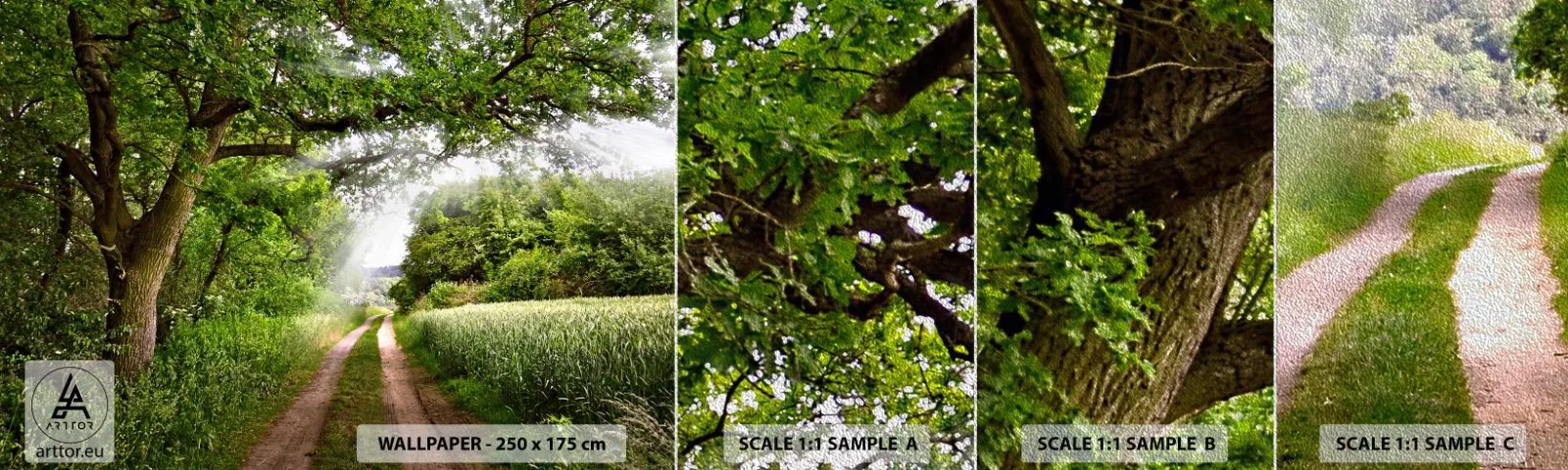 Fotobehang Monster Premium Sand - Et in Arcadia ego - Landschap, Zandweg, Natuur - 100x30 cm