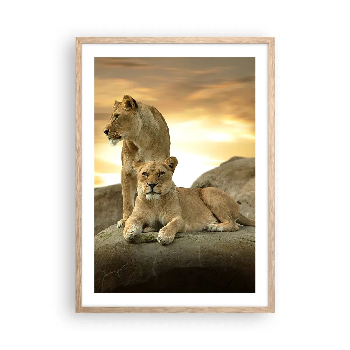 Een poster in een licht eiken lijst - Koninklijke majesteit - 50x70 cm