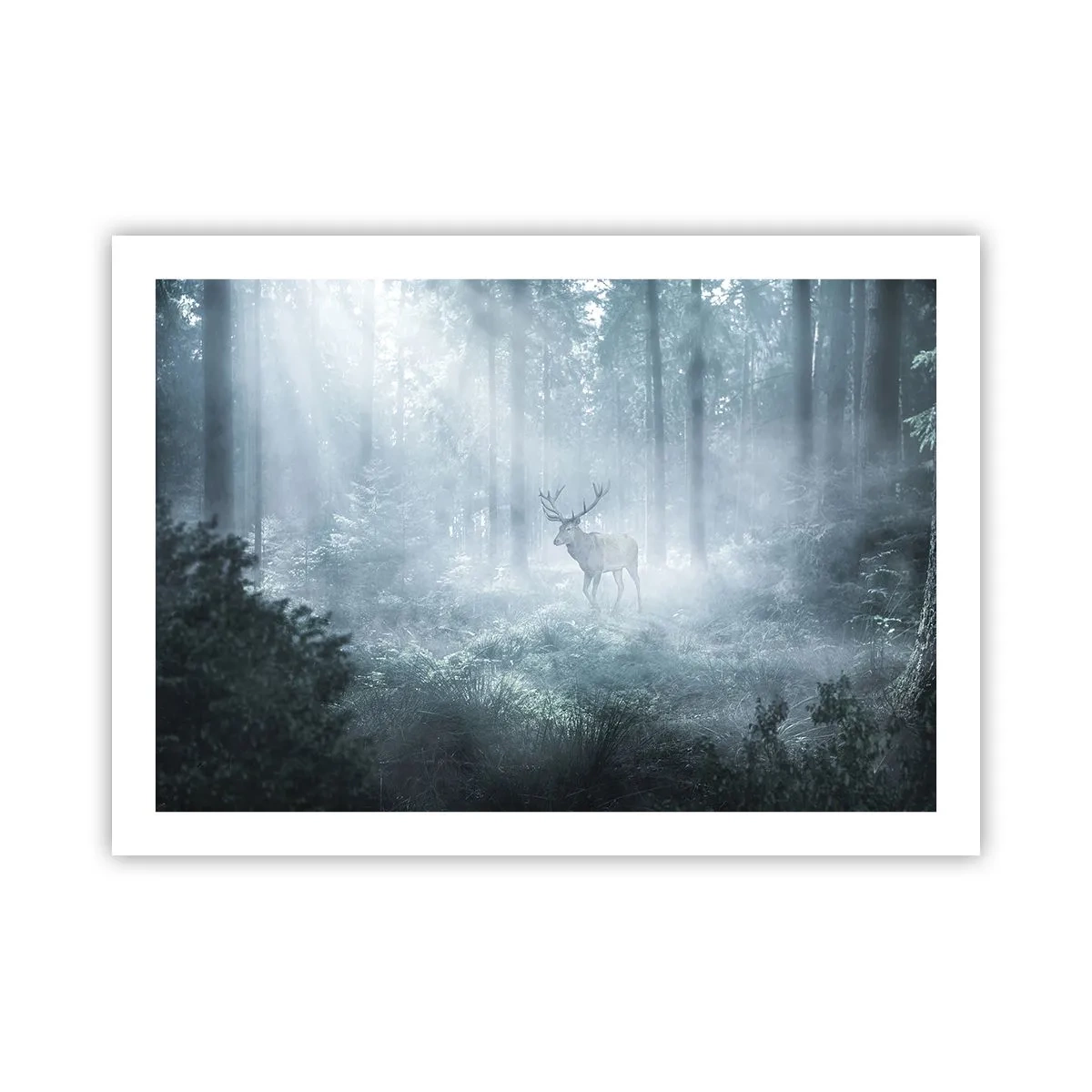 Poster - Ochtendbezoek aan het landgoed - 70x50 cm