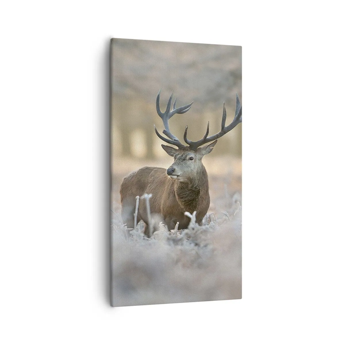 Schilderen op canvas - Een frisse ochtend - 55x100 cm