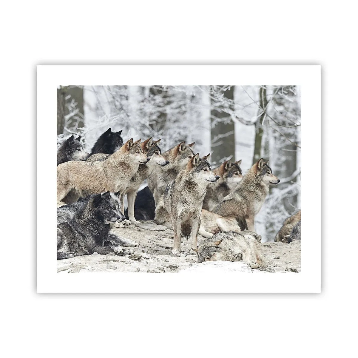 Poster - Familie en vrienden - 50x40 cm