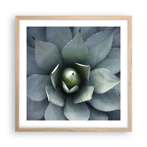 Een poster in een licht eiken lijst - Het trekt aan en waarschuwt - 50x50 cm