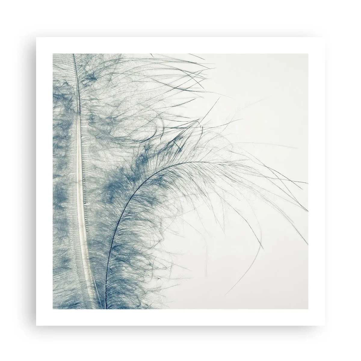 Poster - Het gefluister van de natuur - 60x60 cm