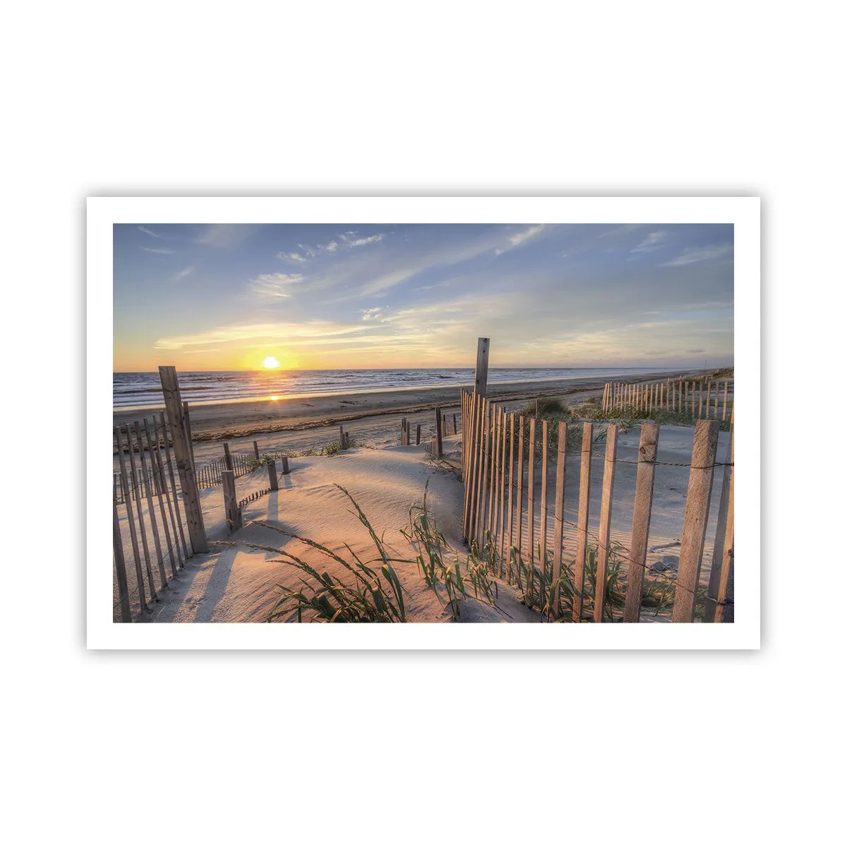 Poster - Glans en schaduw van de wind - 91x61 cm