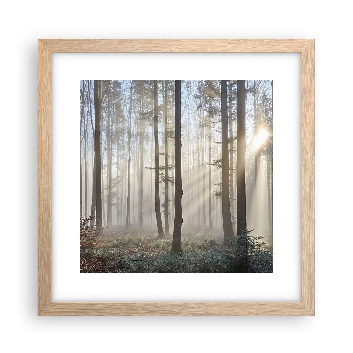 Een poster in een licht eiken lijst - De mist werd ook wakker - 30x30 cm