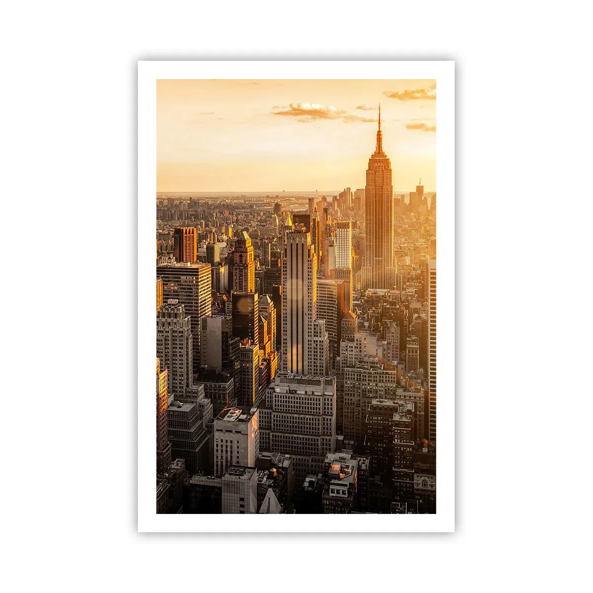 Poster - Groeien in de zon - 61x91 cm