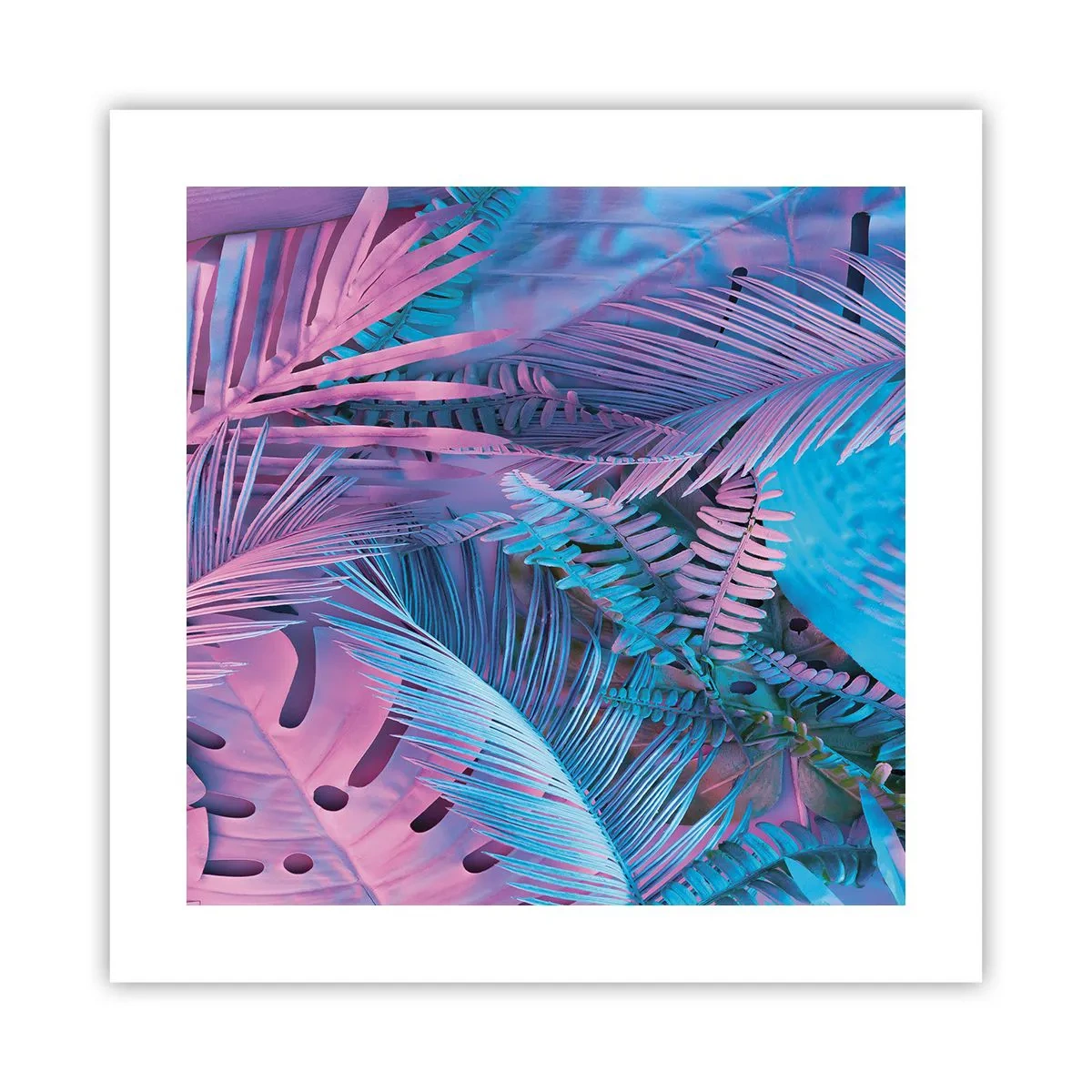 Poster - Tropen in roze en blauw - 40x40 cm
