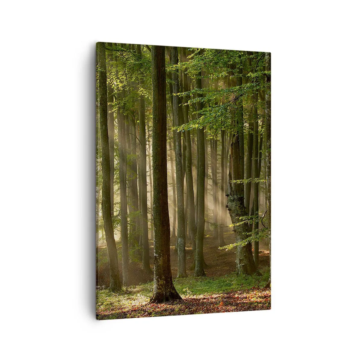 Schilderen op canvas - Stralend op een lentemorgen - 50x70 cm