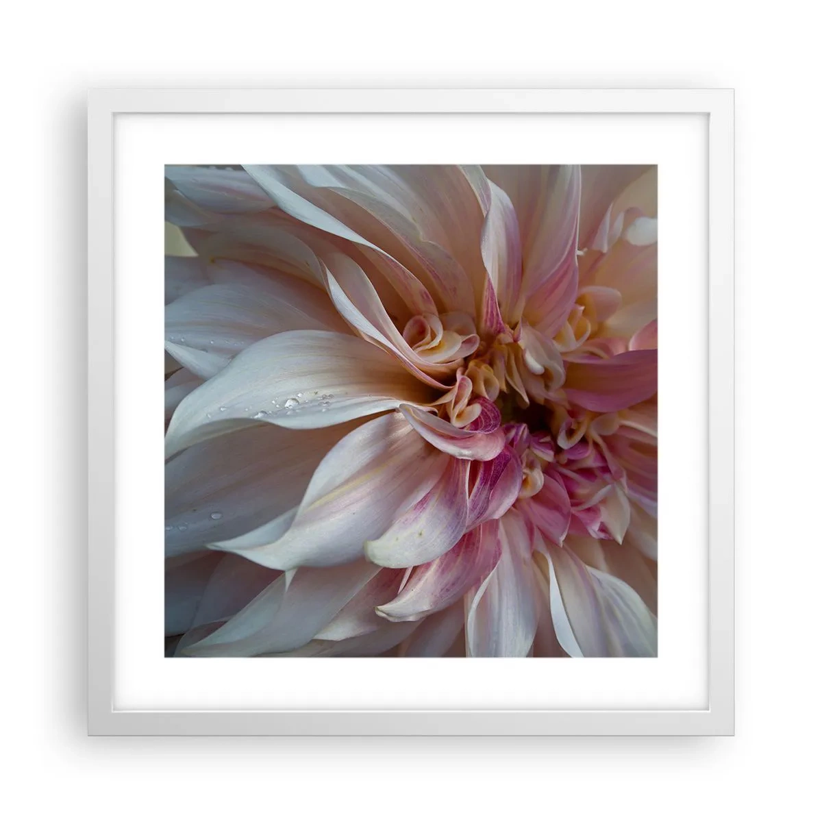 Poster in een witte lijst - Bloeiende frisheid - 40x40 cm