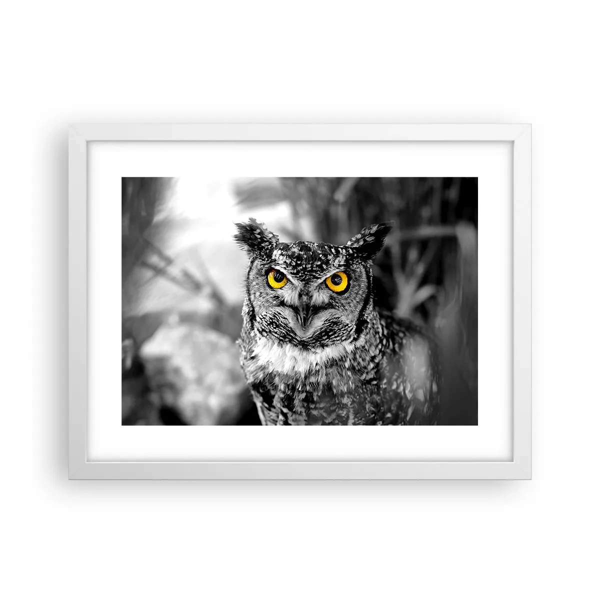 Poster in een witte lijst - Niets zal zich verbergen - 40x30 cm