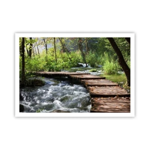 Poster - Boven de schuimige waterval - 100x70 cm