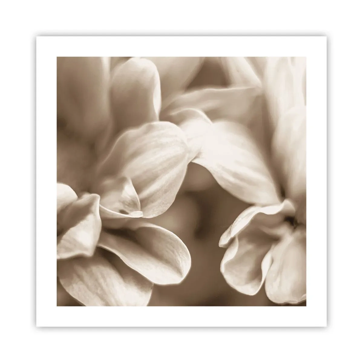 Poster - Zo zacht als een glimlach - 50x50 cm